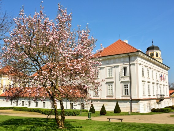 Zámek Vlašim